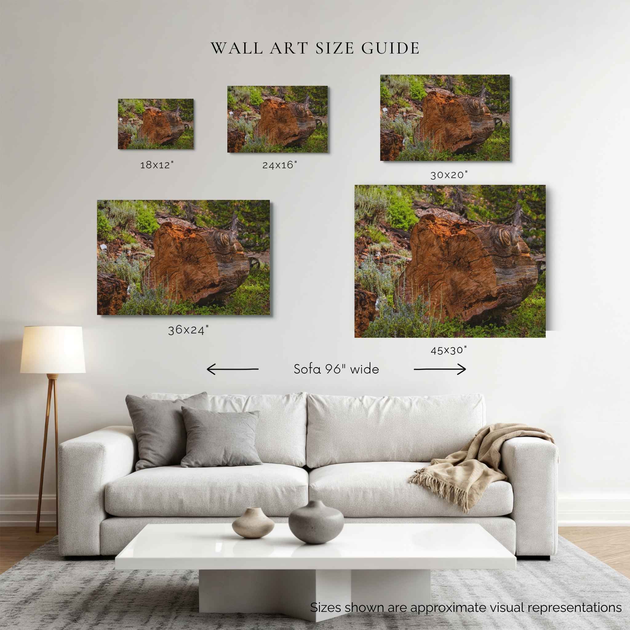 Wall art size guide showing Knots of Time displayed above a 96-inch sofa in 18 × 12, 24 × 16, 30 × 20, 36 × 24, and 45 × 30 inch canvas sizes by Abigail Diane Photography.