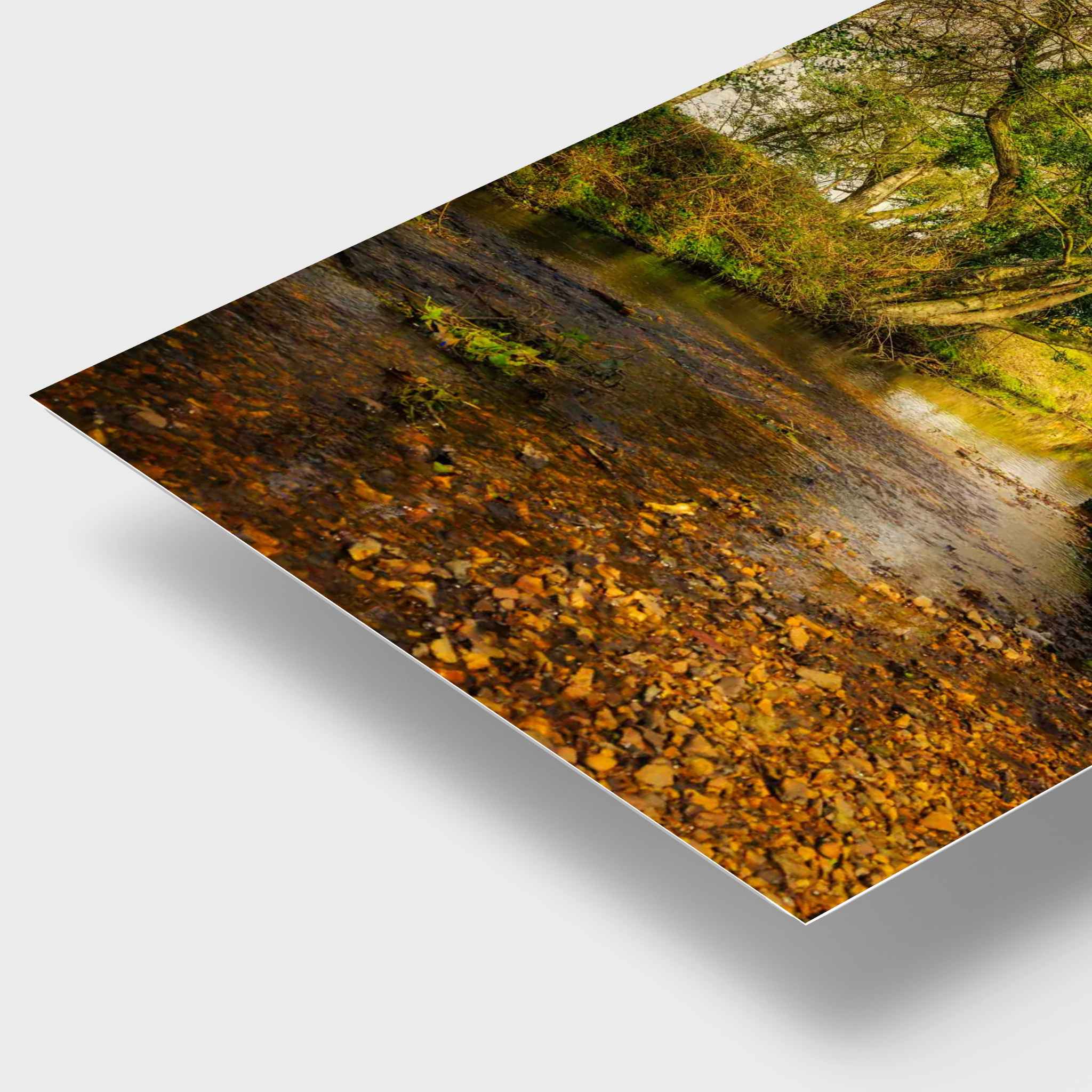 Lazy Creek in the New Forest, England, presented as a high-definition metal print, highlighting the warm woodland greens, golden stream bed and gentle reflections of the peaceful forest creek.