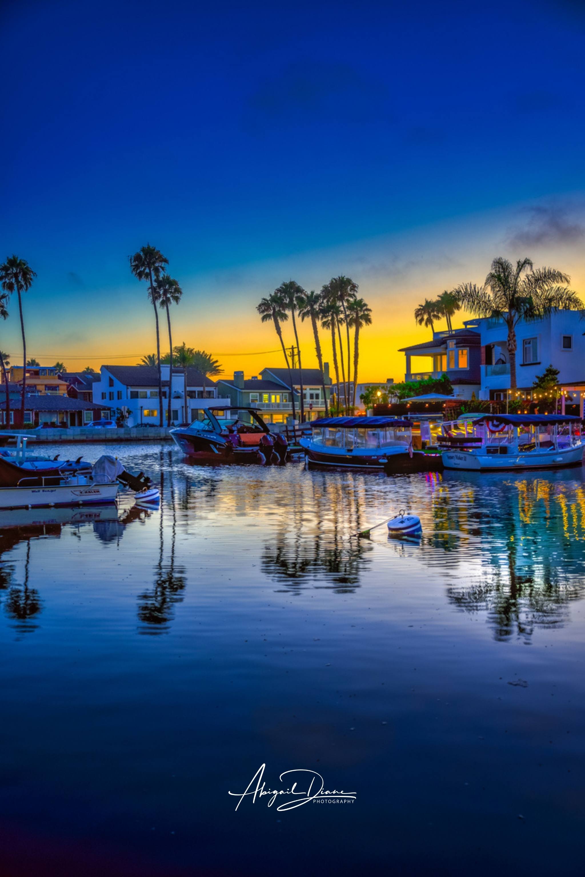 Newport Beach Harbor scene with boats and palm trees at sunset, featuring the Blue hour sunset in California by Abigail Diane Photography Fine Art Wall Print photographer's signature.