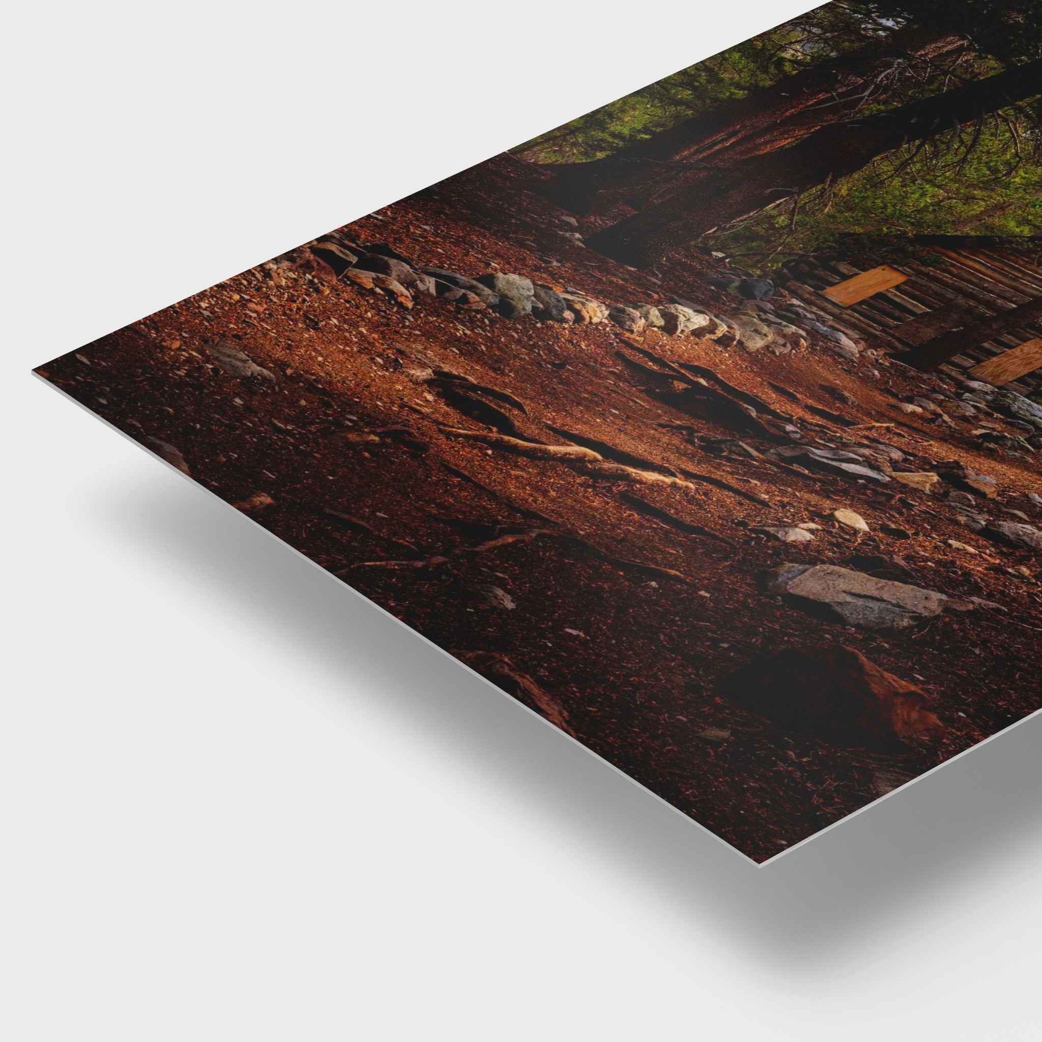 Mahan Cabin in the Eastern Sierra, California, surrounded by towering pine trees and a rustic forest trail, displayed as an HD metal print by Abigail Diane Photography.