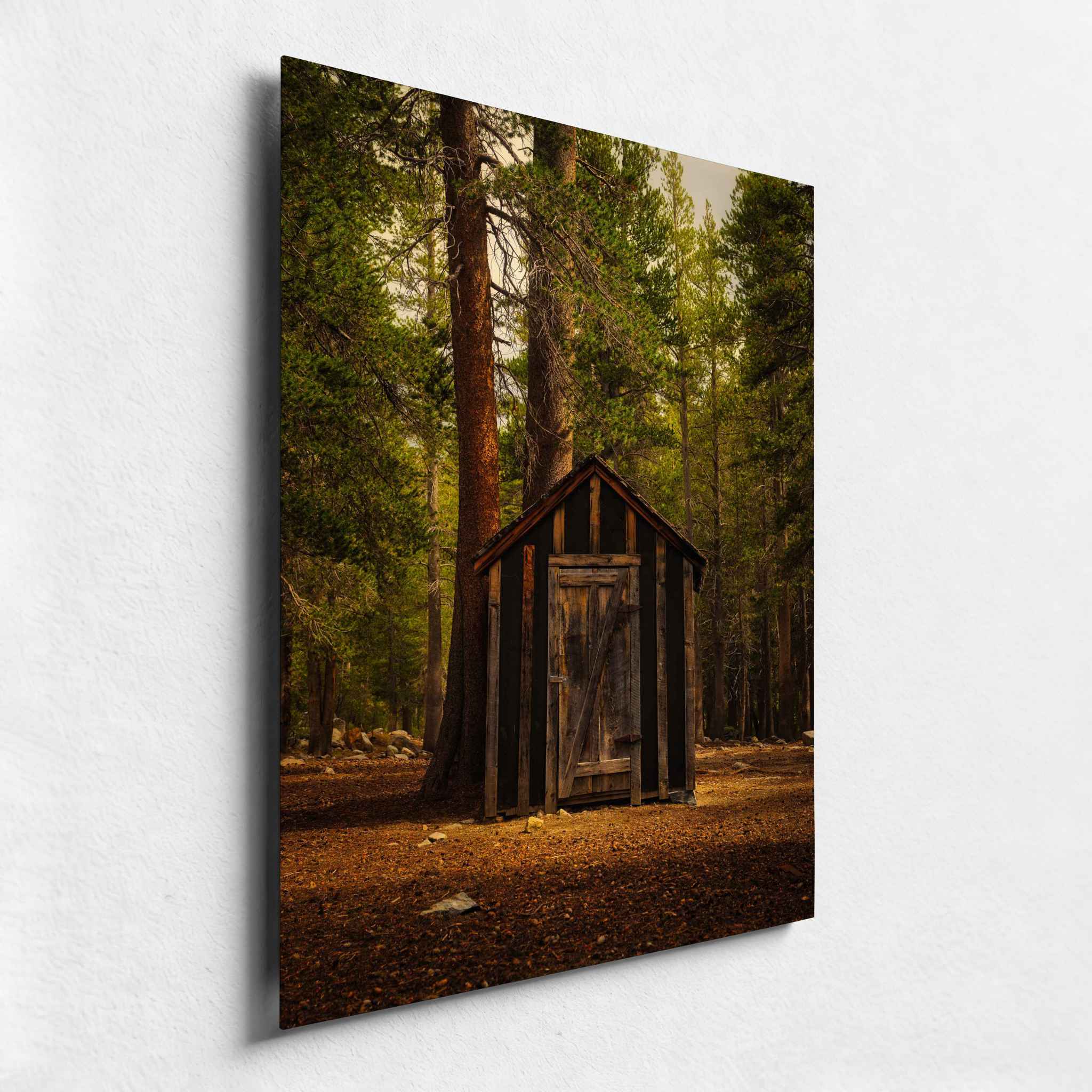 An outhouse in the eastern Sierra  forest photograph from Mammoth Lakes, California, displayed as a sleek HD metal print from an angled side view.