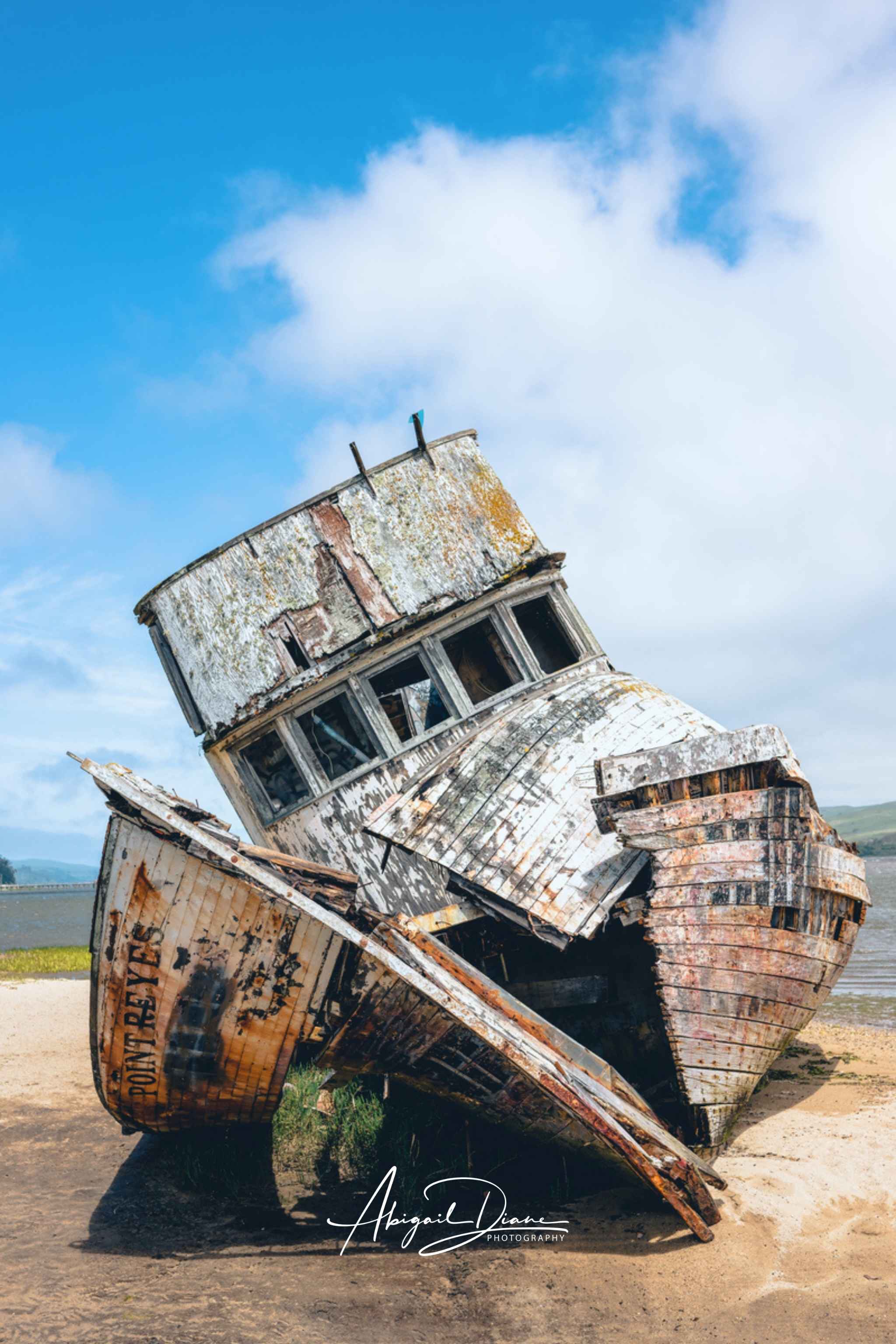 Weathered S.S. Point Reyes shipwreck in Tomales Bay, California by Abigail Diane Photography, rustic coastal wall art with textured wood tones and natural light.