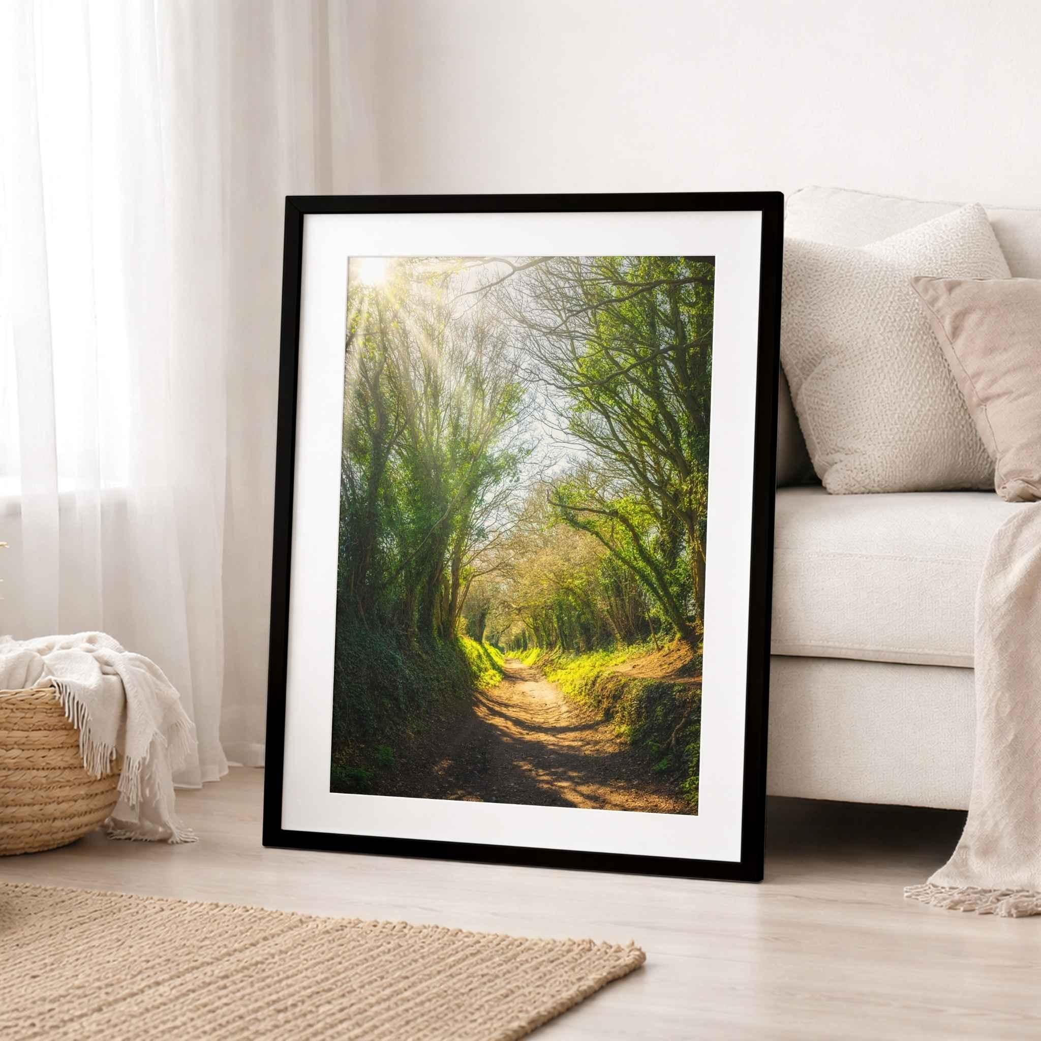 Framed Halnaker Tree Tunnel fine art print by Abigail Diane Photography featuring the historic tree-lined Roman road in West Sussex, England, displayed in a bright Scandinavian-inspired living room.