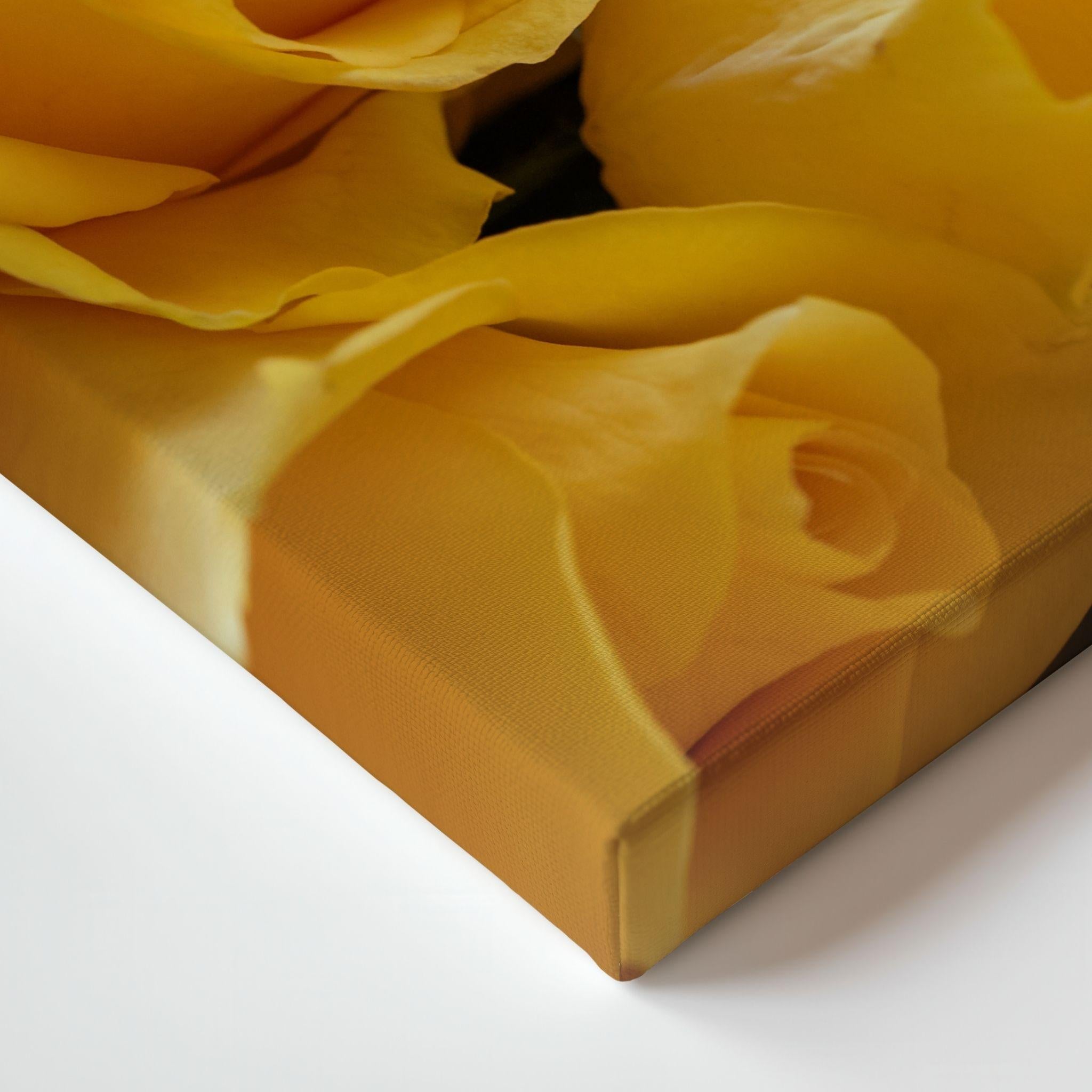 Corner detail of Sunlit Petal Reverie gallery-wrapped canvas featuring soft yellow rose petals and professional museum-quality canvas construction.