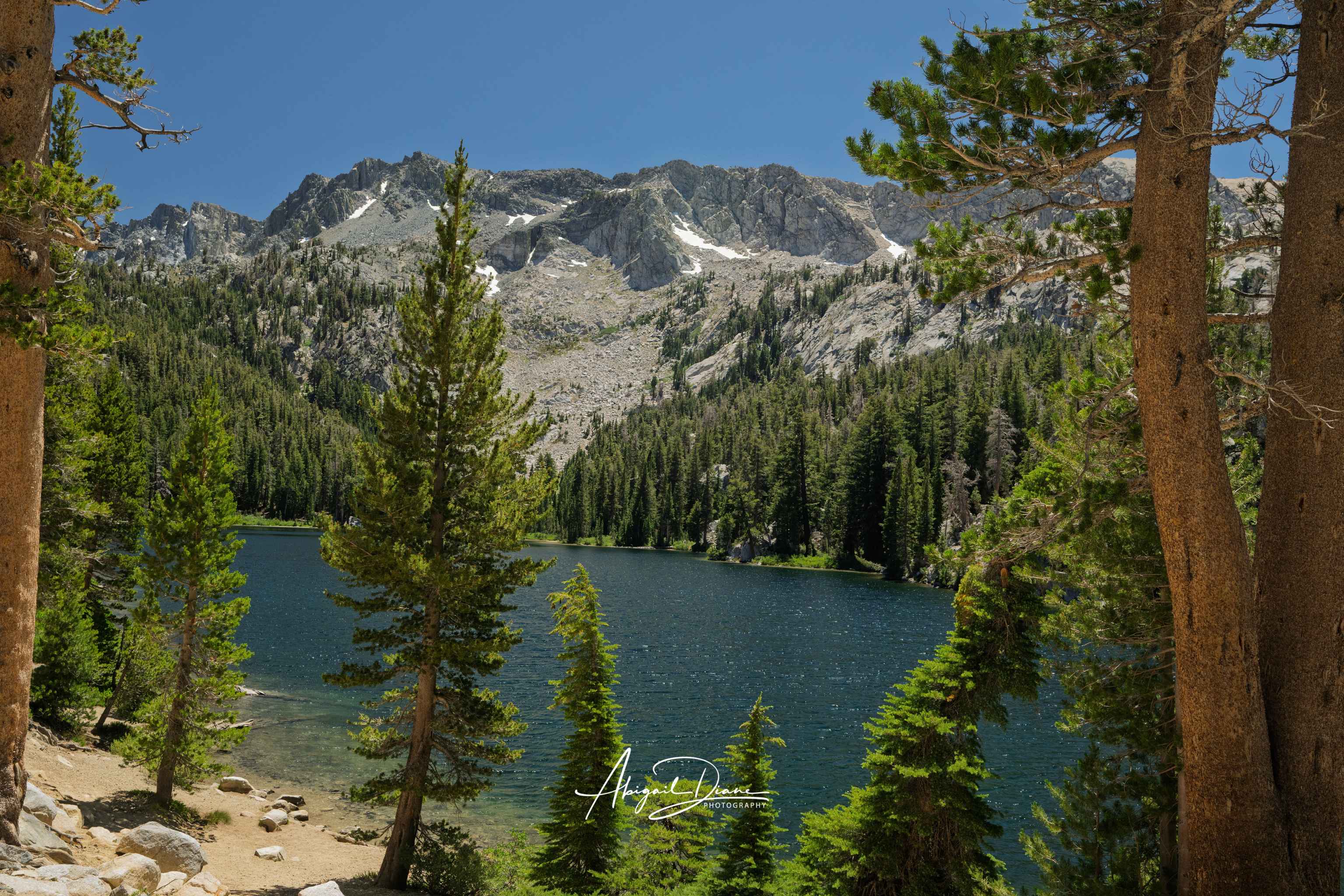 T J Lake near Mammoth Lakes in the Eastern Sierra, California, featuring crystal-clear alpine water surrounded by pine forest and rugged Sierra mountain peaks.