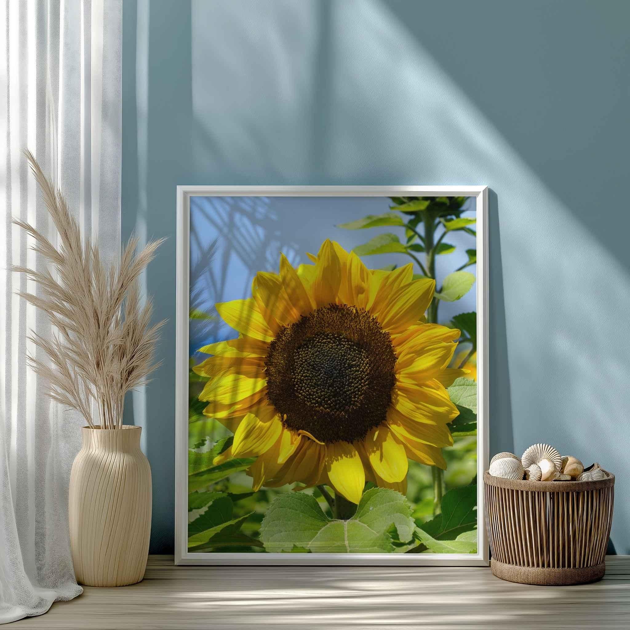 Turning Towards the Light sunflower framed print by Abigail Diane Photography displayed in a coastal-inspired room with soft blue walls, pampas grass, natural textures, and warm sunlight.