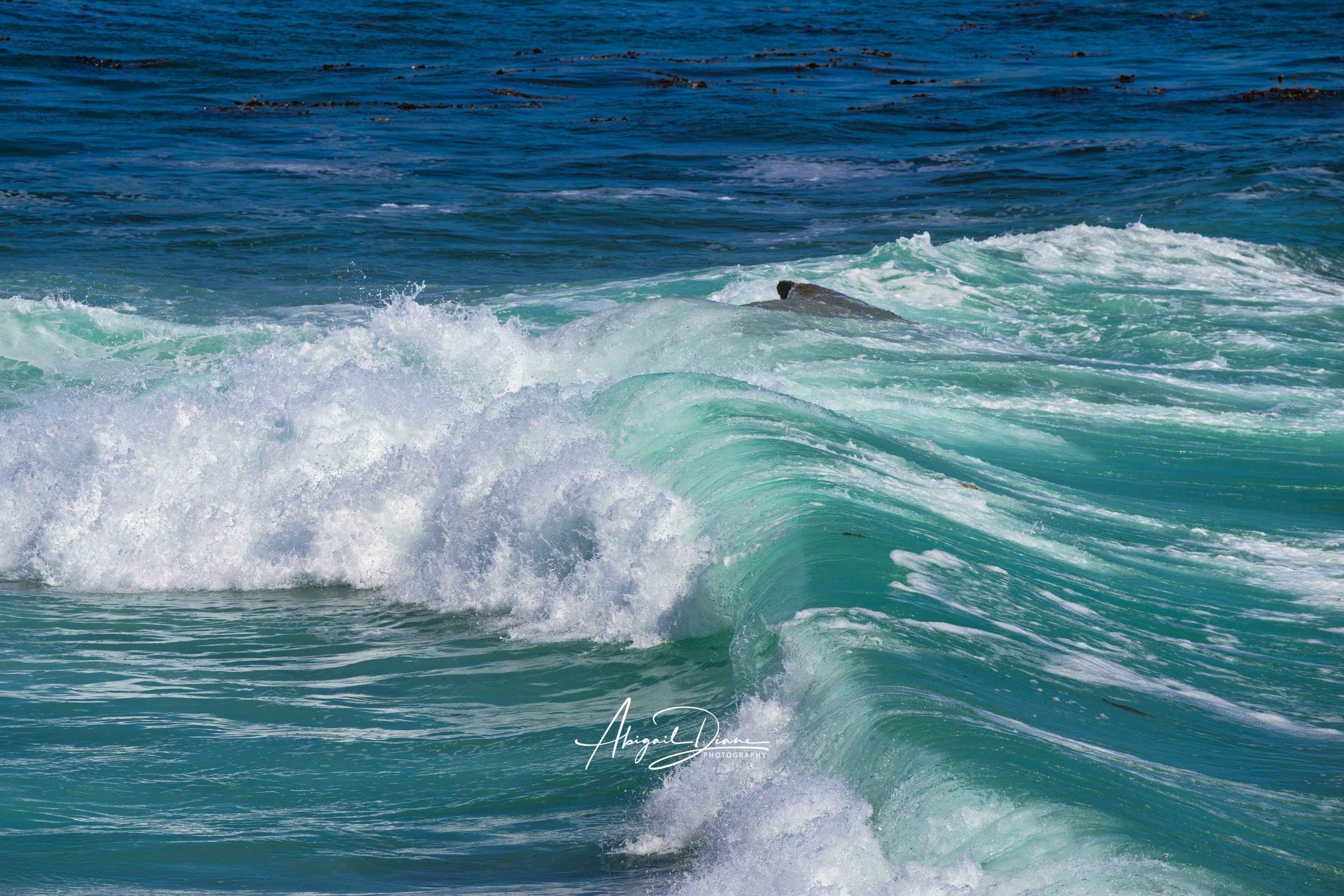 Premium wall art print of Turquoise Healing Waves featuring crystal-clear turquoise surf breaking along Laguna Beach on California's Pacific coastline. Fine art photography by Abigail Diane Photography.
