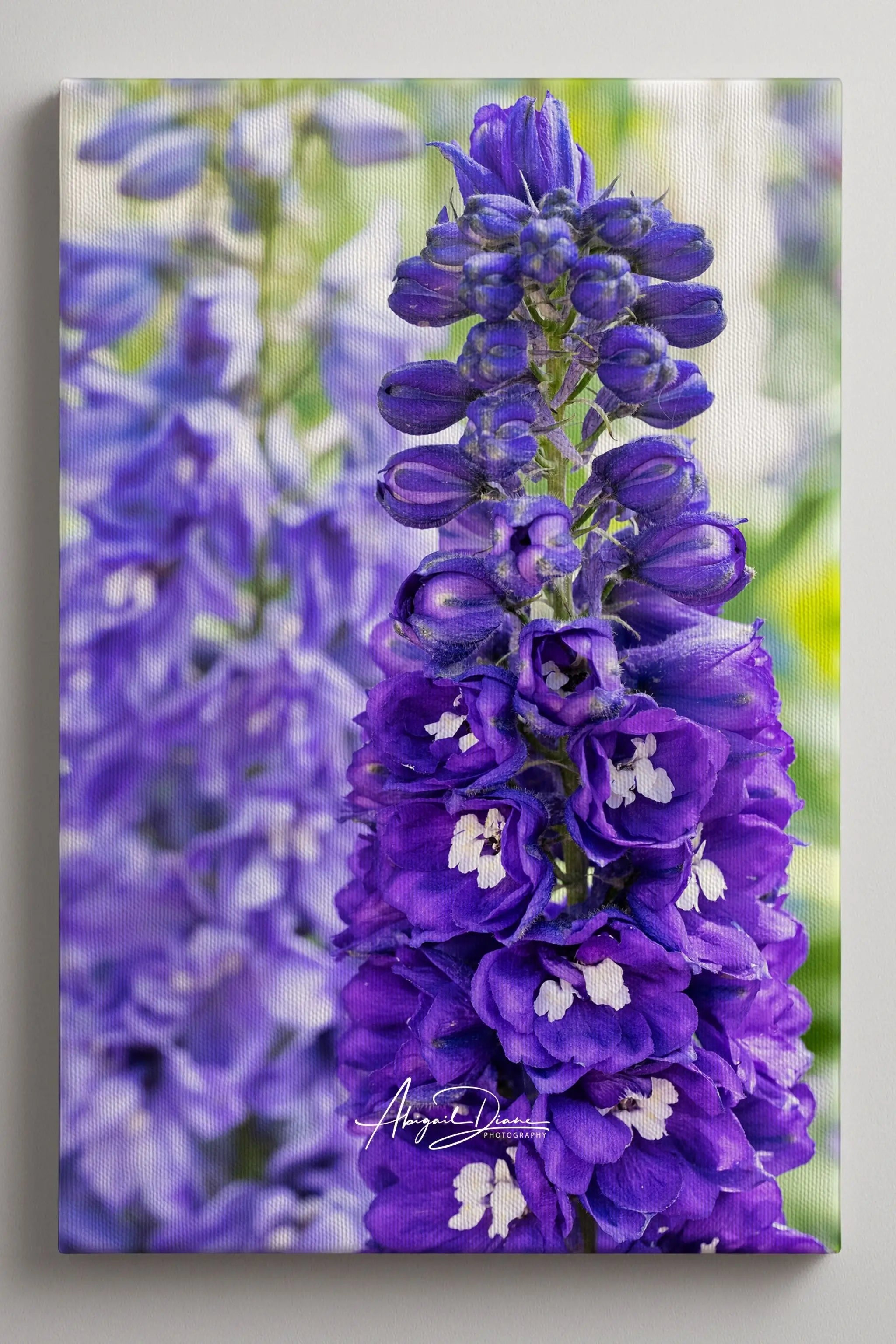 Violet Harmony canvas print featuring vibrant purple candle larkspur flowers with a softly blurred botanical background by Abigail Diane Photography.