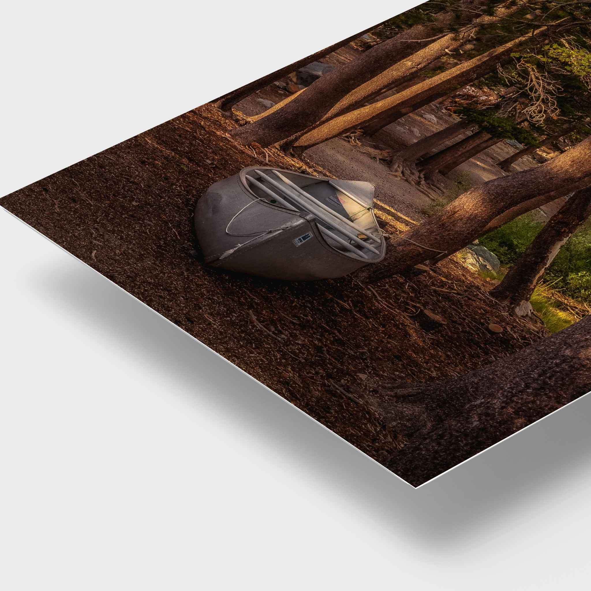 Waiting for a Boat HD metal print close-up featuring a solitary boat resting among pine trees in California’s Eastern Sierra, with warm light highlighting the rich woodland tones.