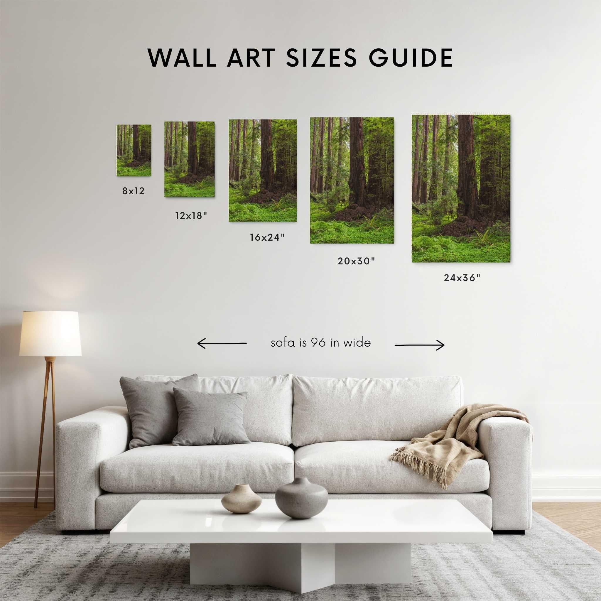 Wall art size guide featuring Abigail Diane Photography's Redwood Forest canvas print displayed above a modern white sofa. Compare 8 x 12, 12 x 18, 16 x 24, 20 x 30, 24 x 36,  inch wall art print sizes to visualize the perfect fit for your living room. Neutral contemporary décor includes a cream sofa, white coffee table, textured rug, and minimalist styling to help choose the ideal large nature wall art for your home.