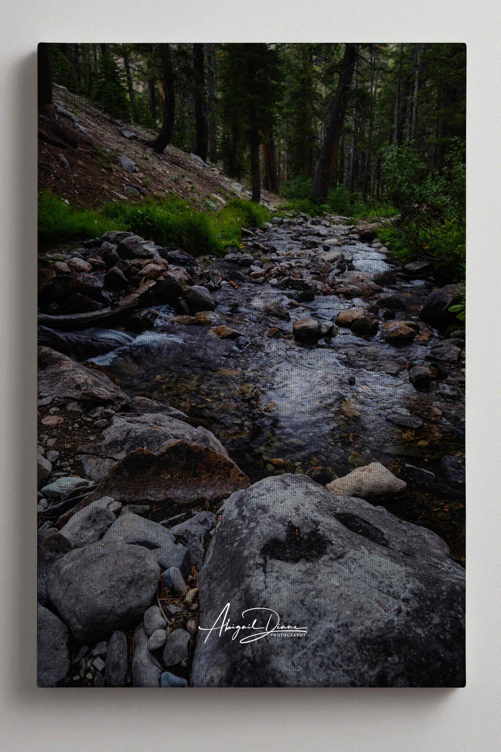 Where Stepping Stones Lead canvas print featuring a rocky forest stream near Mammoth Lakes in California’s Eastern Sierra by Abigail Diane Photography.
