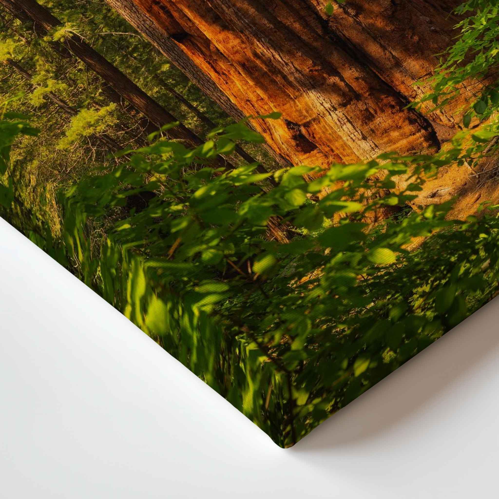 Close-up of the gallery-wrapped canvas corner showing the premium artist-grade canvas texture and wrapped edges of Where the Giants Awaken by Abigail Diane Photography.