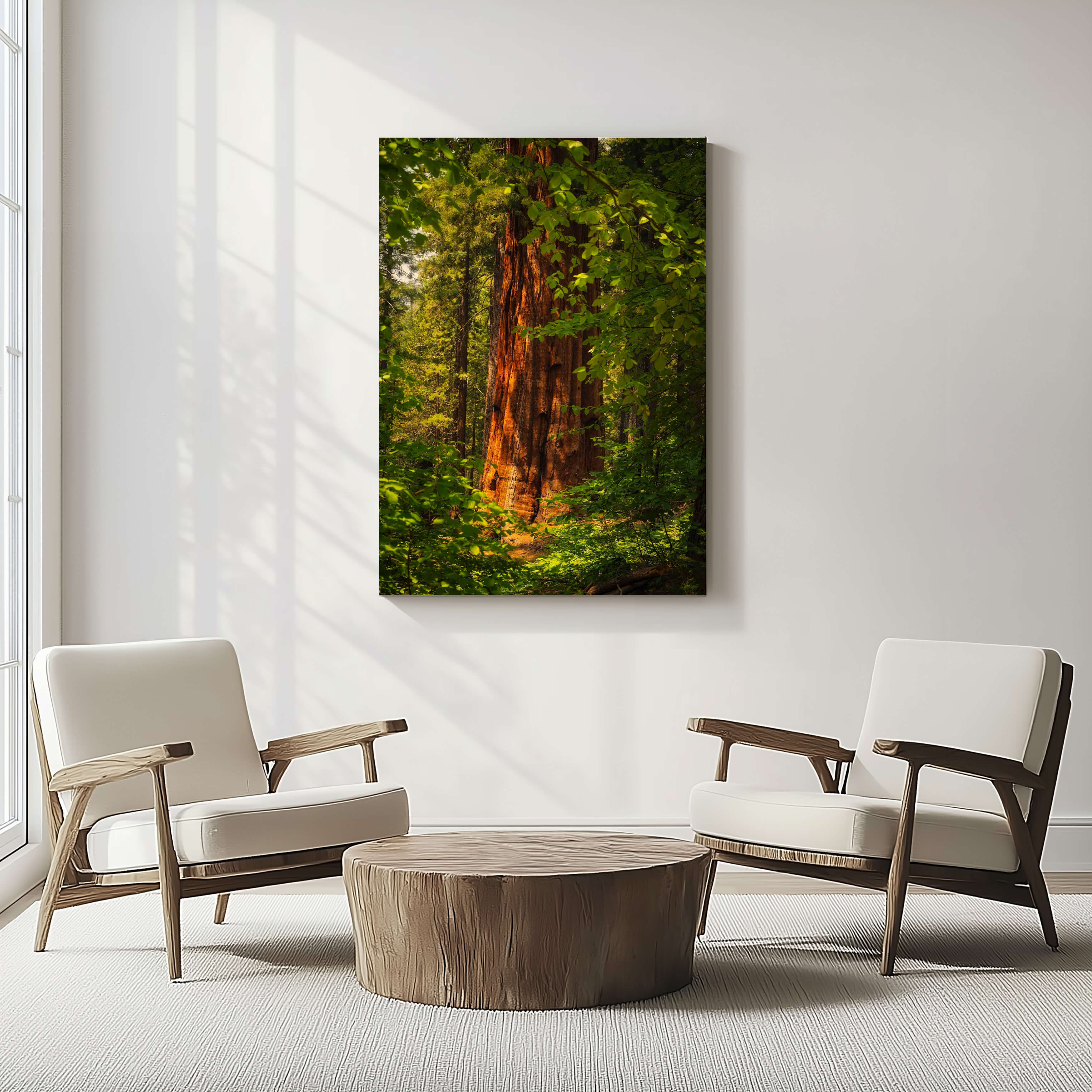 Where the Giants Awaken canvas wall art by Abigail Diane Photography showcasing a majestic giant sequoia in Mariposa Grove, Yosemite National Park, displayed in a bright modern living room.
