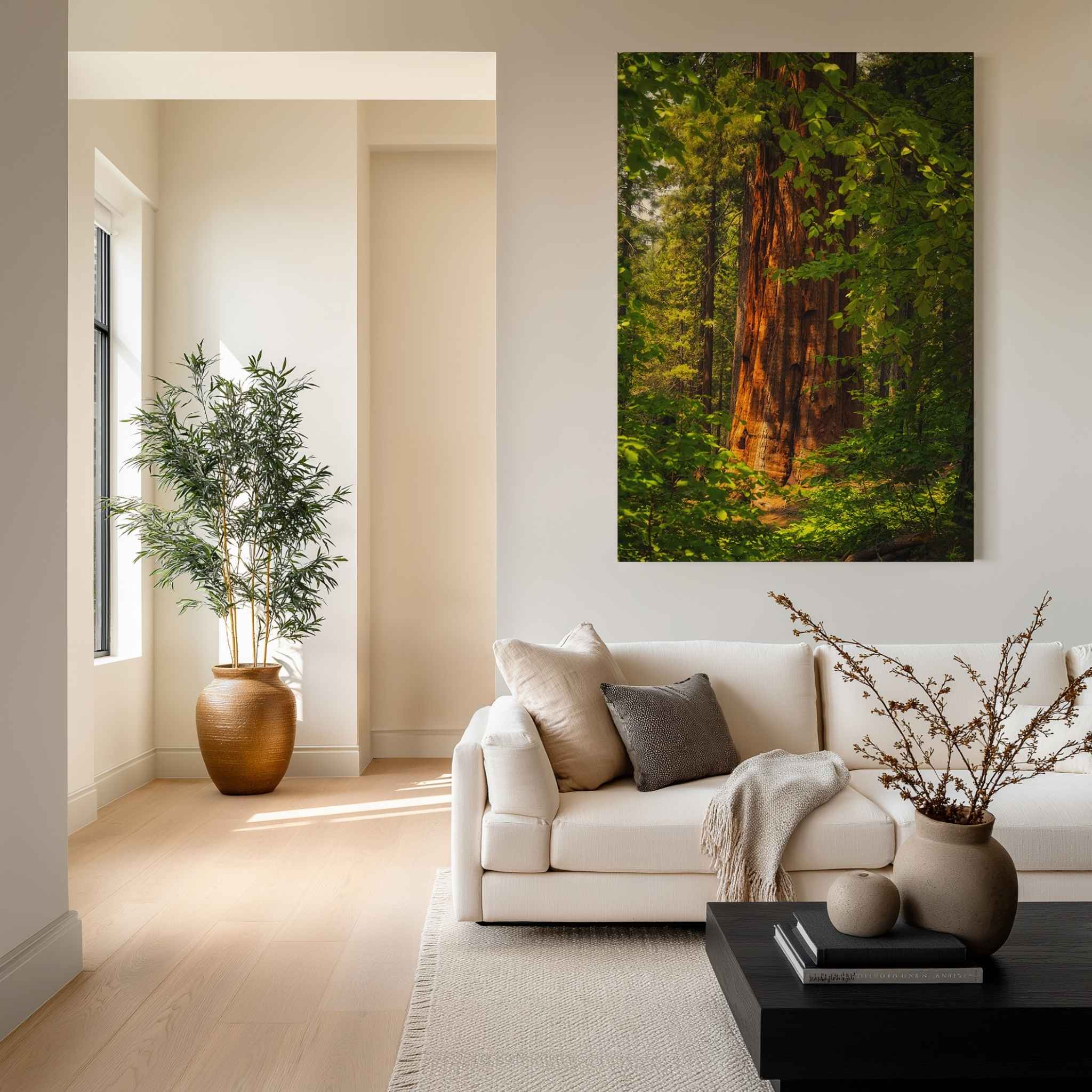 Where the Giants Awaken dye-sublimation metal print by Abigail Diane Photography displayed above a contemporary sofa, featuring an ancient giant redwood illuminated by warm forest light in California.