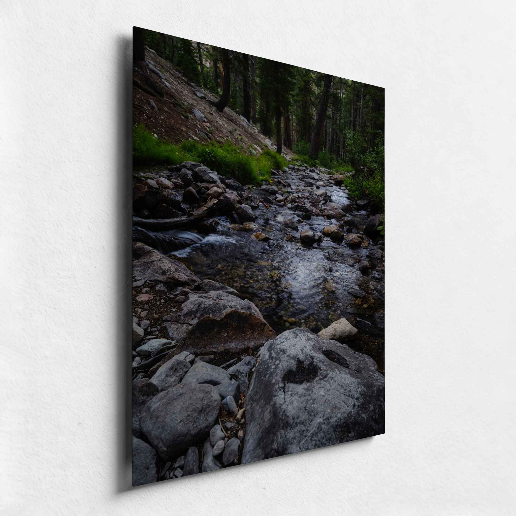 Close-up angled view of Where the Stepping Stones Lead, in a HD metal print featuring a rocky forest stream in Mammoth Lakes, California, displayed against a white wall.