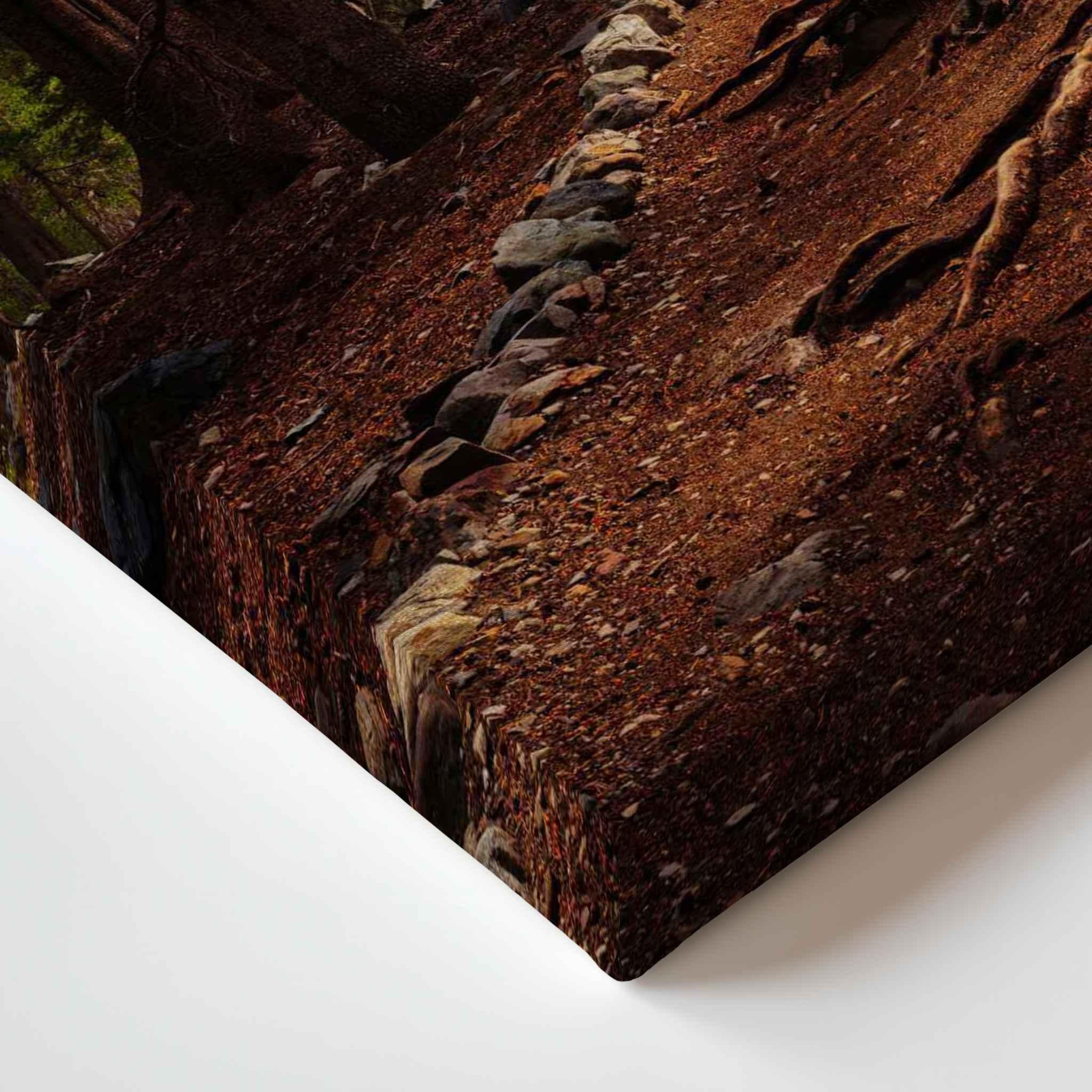 Close-up corner detail of Where the Trail Meets the Past canvas print, showing the gallery-wrapped edge and rustic forest trail in Mammoth Lakes, California.