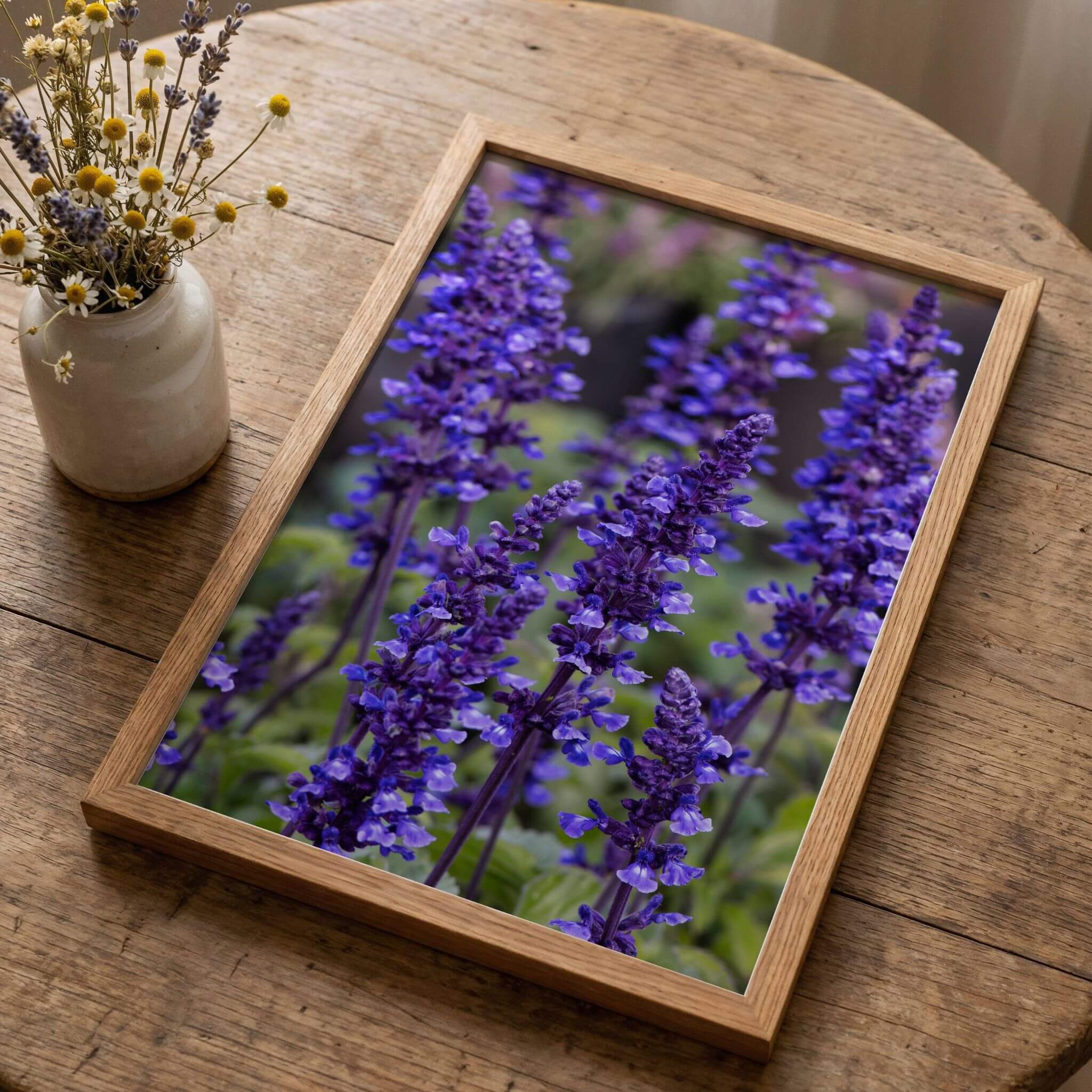 Where the Wildflowers Dream by Abigail Diane Photography featuring vibrant purple salvia flowers displayed in a natural oak frame on a rustic wooden table beside dried wildflowers, creating a peaceful botanical cottage-inspired setting.