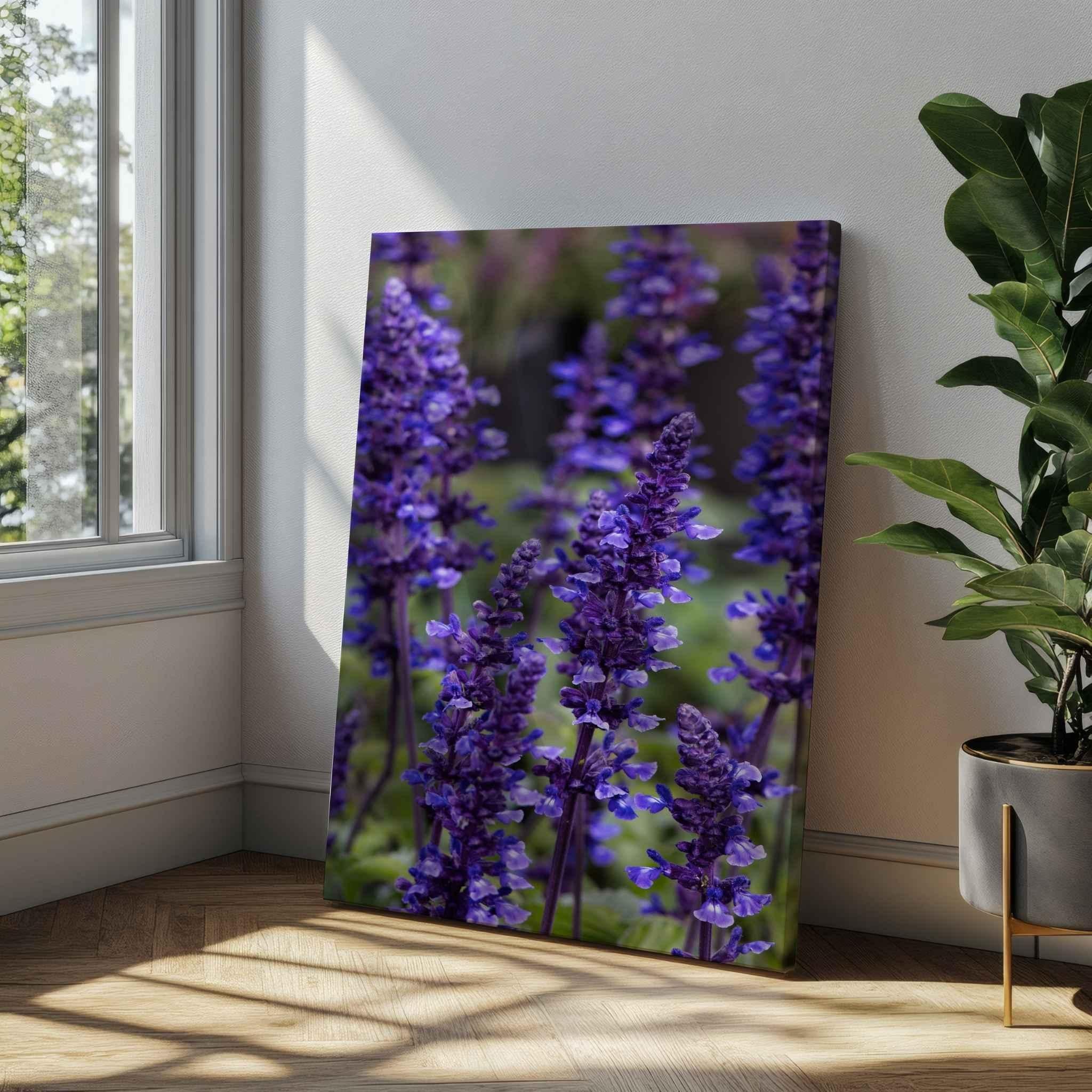Where the Wildflowers Dream canvas print by Abigail Diane Photography featuring vibrant purple salvia flowers, displayed in a bright modern living space beside a large window and indoor plant, showcasing botanical wall art inspired by nature.