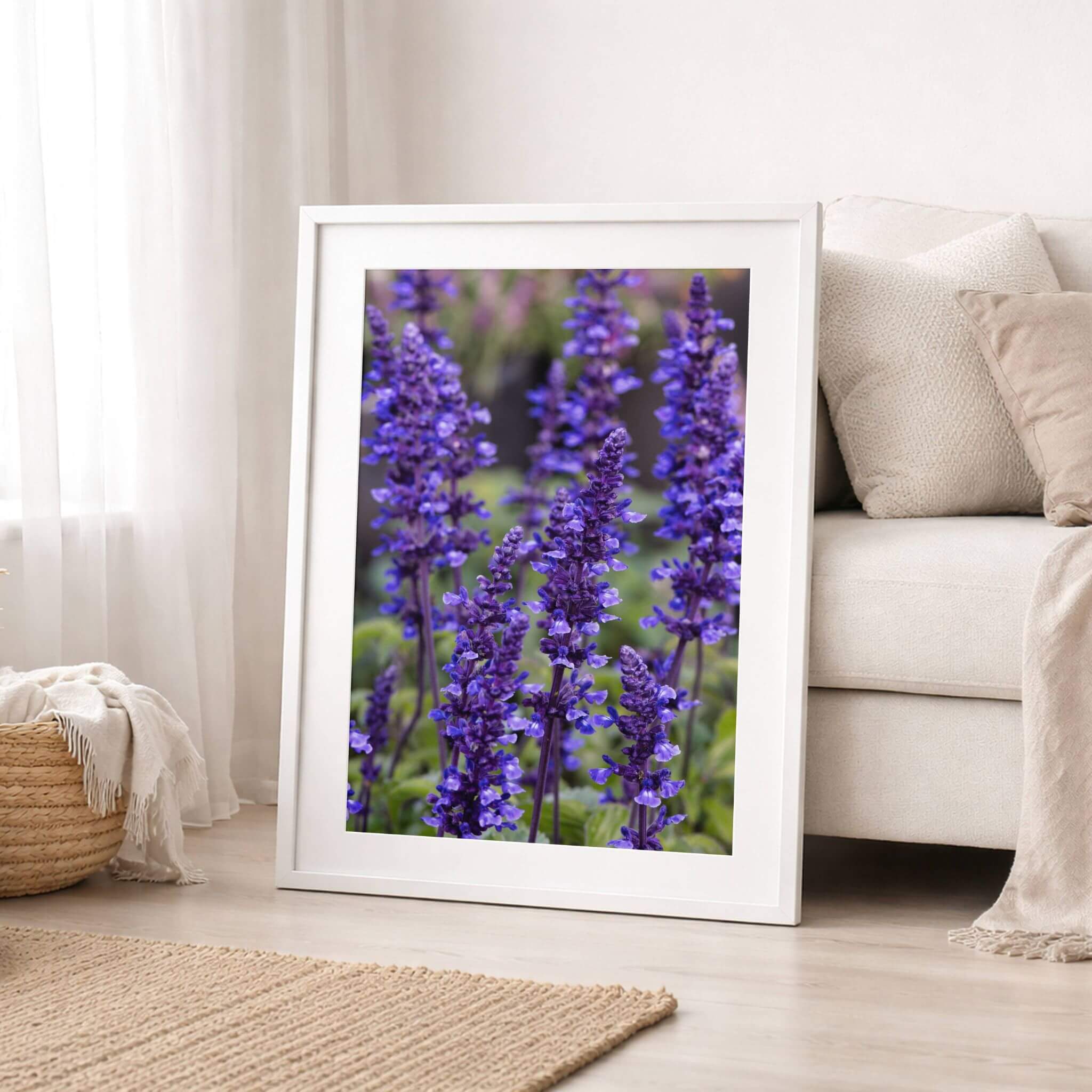 Where the Wildflowers Dream fine art print by Abigail Diane Photography featuring vibrant purple salvia flowers displayed in a white frame beside a cream sofa, creating a serene botanical focal point in a soft neutral living space.