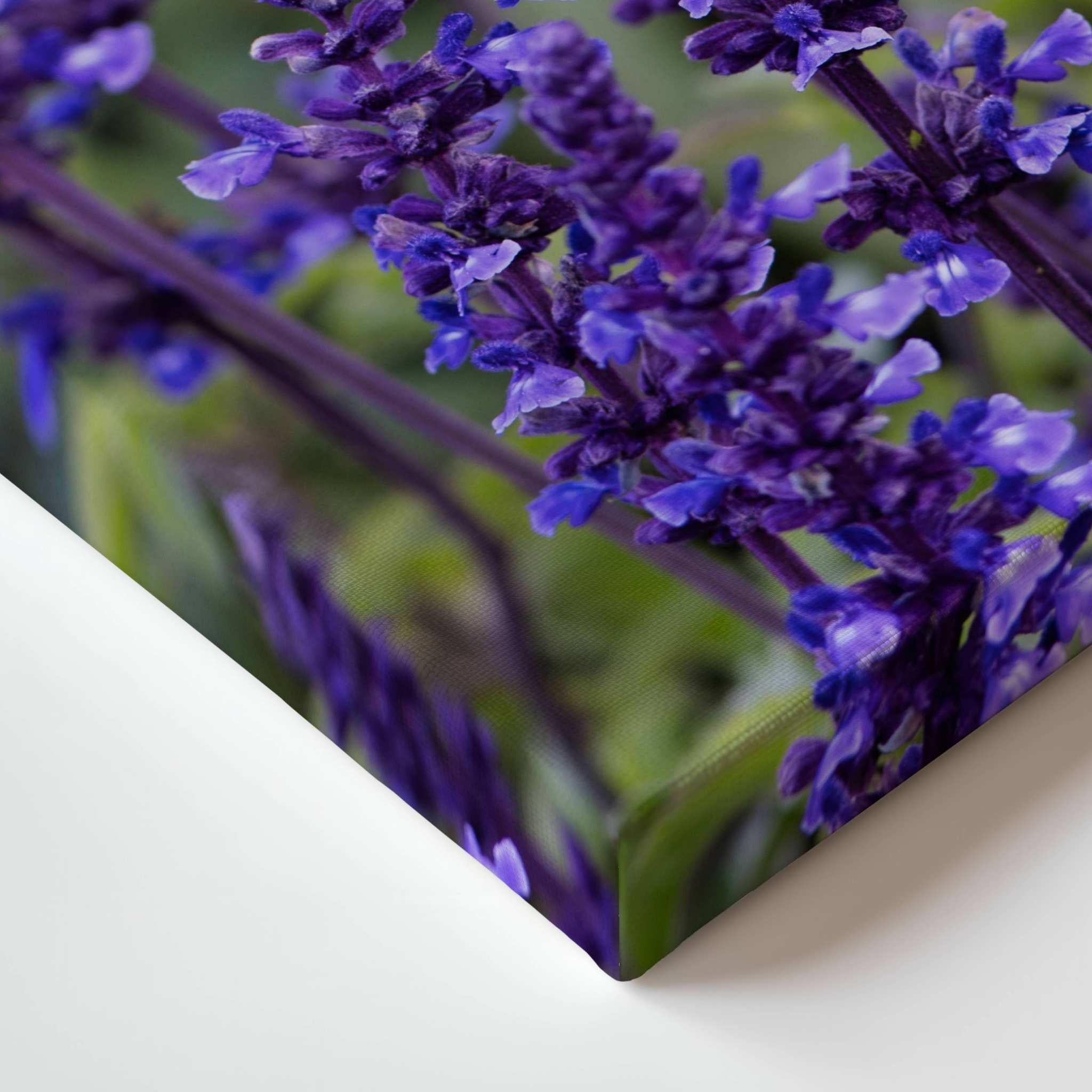 Close-up corner detail of Where the Wildflowers Dream gallery-wrapped canvas by Abigail Diane Photography featuring vibrant purple salvia flowers with image-wrapped edges and premium fine art canvas texture.